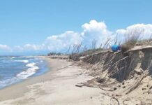 Pisa, spiagge cancellate e dune distrutte: lo studio choc che rivela cosa sta accadendo sulla costa pisana