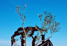 Da inizio 2026 si contano 684 morti nel Mediterrano