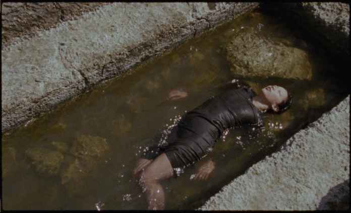 Animism Sings Anarchy_1.8.1 (1) (1)