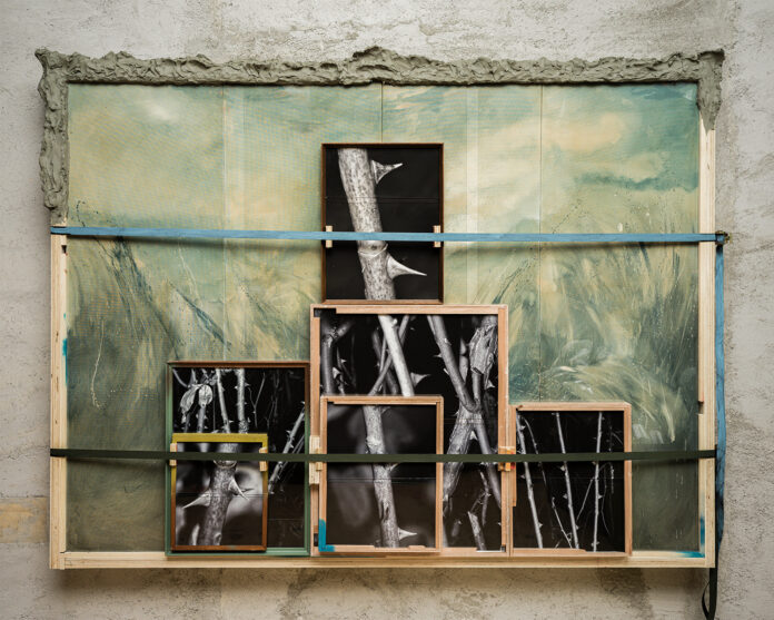 Benassi J. Immagine in evidenza_Opera 8 (ph Roberto Buratta)