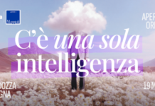 C’È UNA SOLA INTELLIGENZA