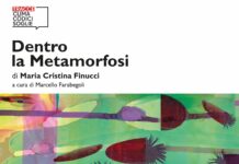 “DENTRO LA METAMORFOSI”, L’INSTALLAZIONE DENUNCIA DI MARIA CRISTINA FINUCCI