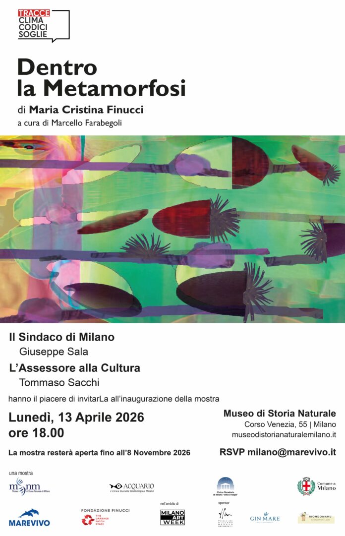 INVITO_Dentro la Metamorfosi