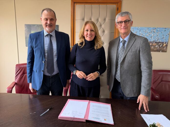 Infantino, Savarino, Beringheli (2)