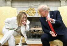 TRUMP E MELONI, DESTINI PARALLELI?