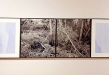 Antonio Di Cecco Ciò che resta, materiali per un archivio sensibile