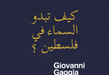 Com’è il cielo in Palestina? per Global Sumud Flotilla