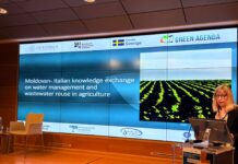 Riuso delle acque reflue in agricoltura