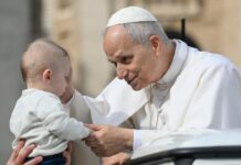 Papa: “Testimoniare in mondo devastato”