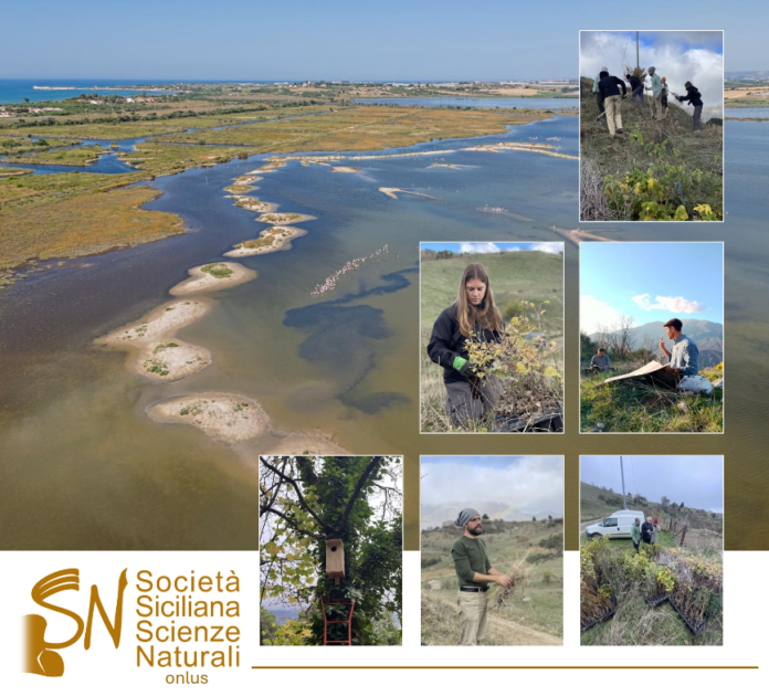 sssn_ripristino_ambientale