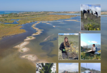 La Sicilia laboratorio di restauro ambientale