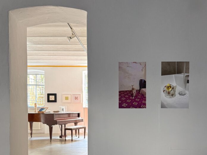 59. Spazio Blue Train