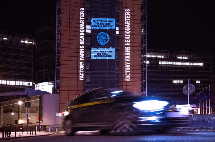 Animal_Equality_EU_-8