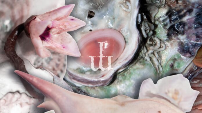 BANNER ELEMENTI 2026