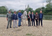 Parco Vigna Arabian Horse Show 2026 ALLA TERZA EDIZIONE