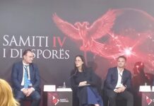 “La Diaspora porterà investimenti reali e sviluppo locale”