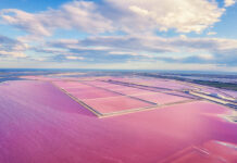 In Camargue per la festa dei gitani
