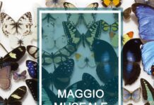 Sabato 23 maggio, nell’ambito della Notte Europea dei Musei 2026, torna l’evento MAGGIO MUSEALE promosso dal Polo Museale – Sapienza Cultura (PMSC)