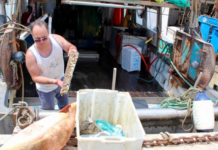 Il Gruppo Coopservice rafforza l’impegno per la tutela dell’Adriatico