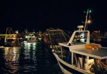 SISTEMA MARCHE PROTAGONISTA AL SEAFOOD EXPO GLOBAL