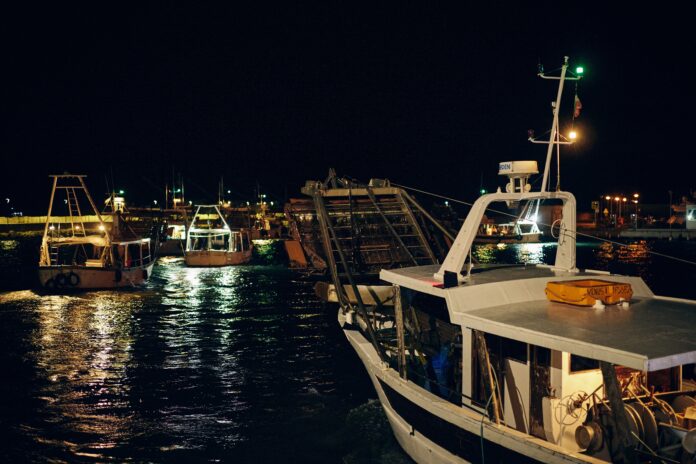 Vongolare al lavoro 02