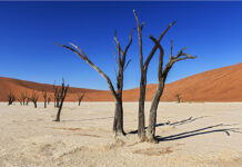 Namibia, essenza d’Africa