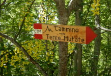 Aperte le iscrizioni alla Carovana nelle Terre Mutate 2026