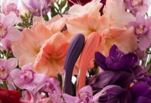 Amore che dai, amore che ricevi