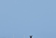 Marina Israele abborda Flotilla a Cipro