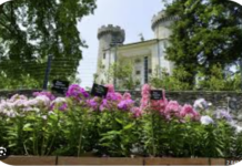 Il Marché aux fleurs al Castello di Aymavilles giunge alla sua quarta edizione