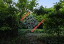 Al via dal 23 al 31 maggio 2026 Cremona Contemporanea