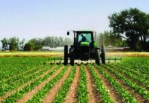 Albania coltiva l’internazionalizzazione: terreni agricoli offerti agli investitori stranieri