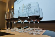 Calici in alto, accise in basso: il vino italiano accelera in Albania
