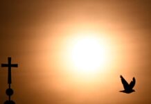 Oms: 1.300 morti in Europa per l’afa