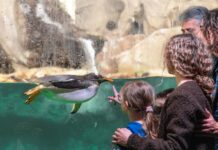 UN’ESTATE SOTTO IL SEGNO DELL’ACQUARIOVILLAGE