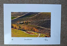 Arte e paesaggio, le opere di GP Orbassano (TO) a UVE Rooms & Wine Bar di La Morra (CN)
