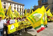 PREZZI: COLDIRETTI BASILICATA , CONTRO I TRAFFICANTI DI OLIO E GRANO CENTINAIA DI AGRICOLTORI IN PIAZZA A POTENZA