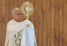 Il Papa: i cristiani portino pace tra le divisioni, in gioco il futuro dell’umanità