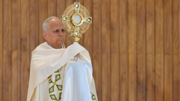 papa leone