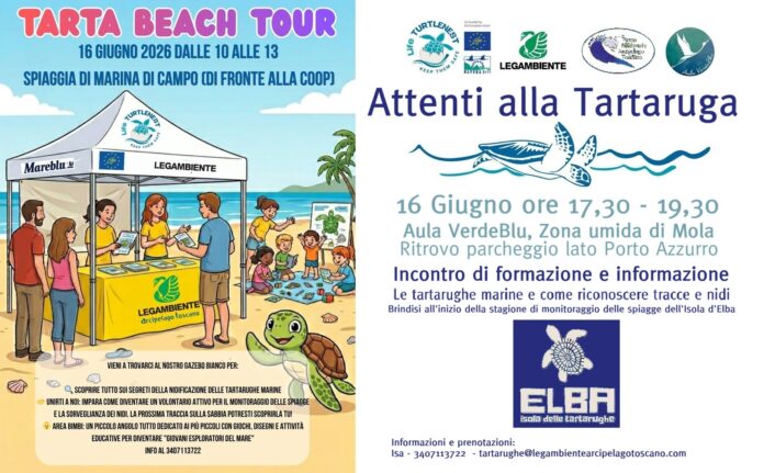 tartarughe 16 giugno