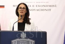 PMI, terre rare, investitori strategici: il tris dell’Albania per la crescita industriale entro l’anno
