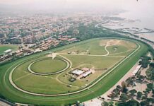 IPPODROMO CAPRILLI, UNA PRATICA SENZA SENSO TRA CALDO ESTREMO E SOFFERENZA ANIMALE