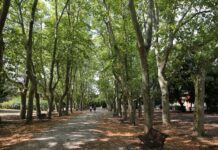 Rifugi climatici a Livorno