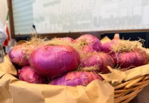 La Cipolla Rossa di Acquaviva celebra 25 anni di festa