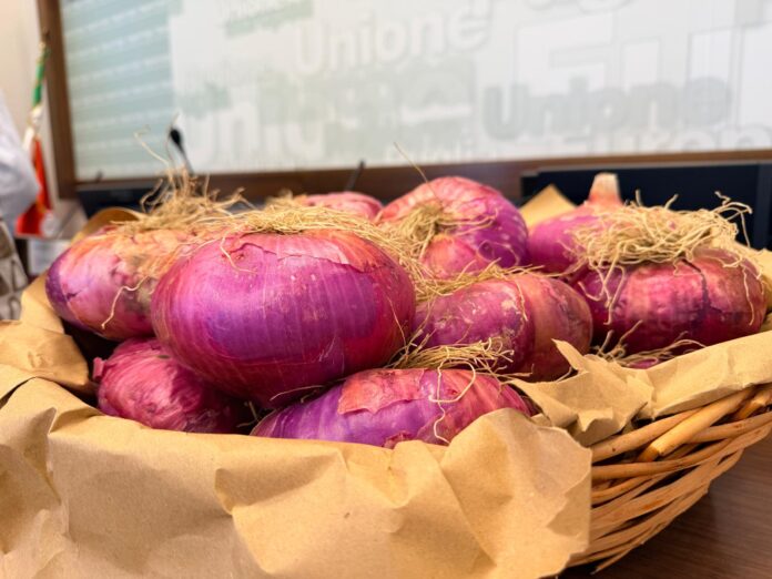 Festa Cipolla rossa di Acquaviva delle Fonti 2026 (3)