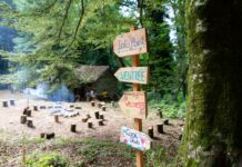 In partenza Kalabria Eco Fest: dal 16 al 19 luglio simposi, musica e laboratori nel Bosco della Gigliara