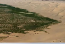 LA MURAGLIA VERDE CHE STA VINCENDO IL TERRENO DEL DESERTO