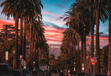 California dreamin’