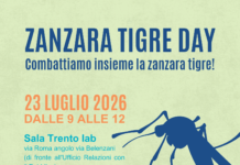 Zanzara tigre, giovedì incontro informativo promosso da Comune e Muse