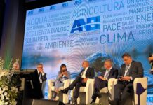 “L’acqua è infrastruttura di cittadinanza e leva di coesione delle aree interne”